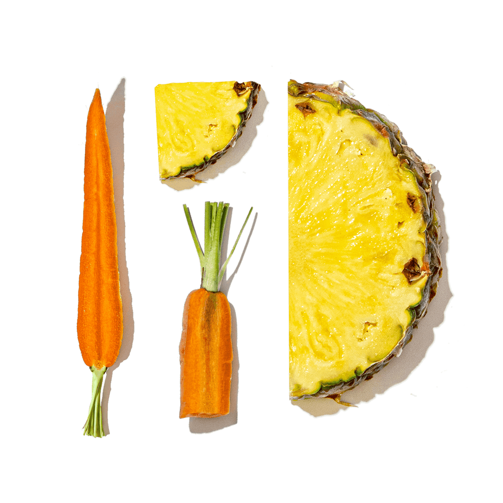 Multivitamin + Gut Health Shot