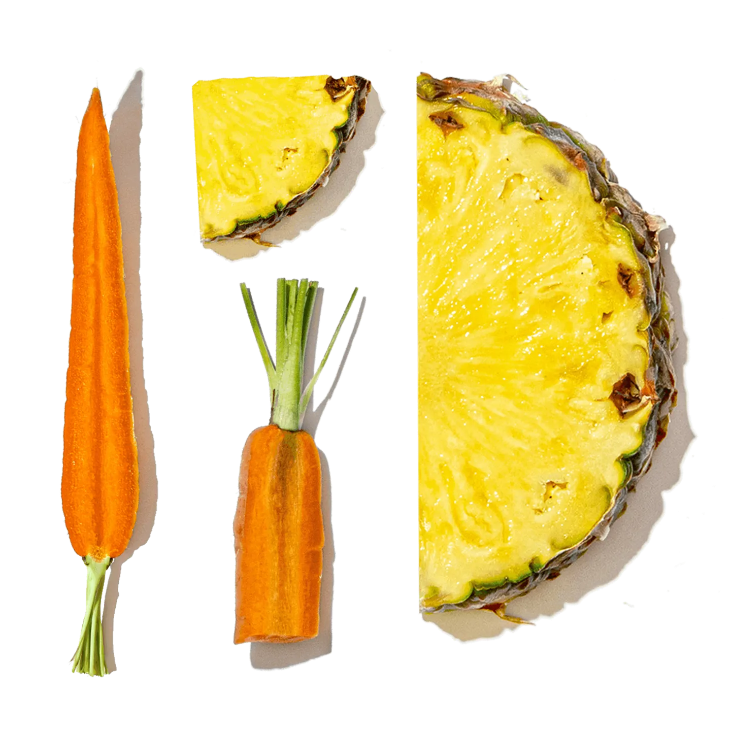 Daily Multivitamin + Gut Health 14-Shot Pack